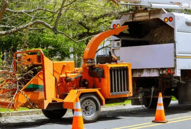 tree removal polk
