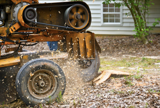 stump grinding polk